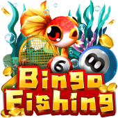 Bingo Fishing play zone game