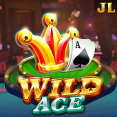Wild Ace play zone slot